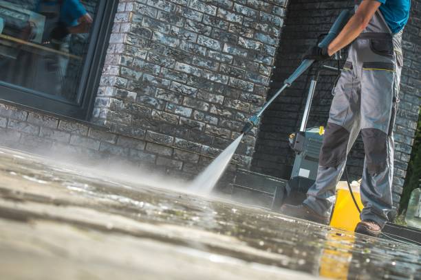 Best Gutter Cleaning  in Deltana, AK