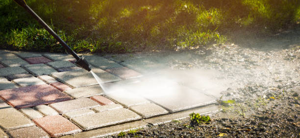 Best Driveway Pressure Washing  in Deltana, AK