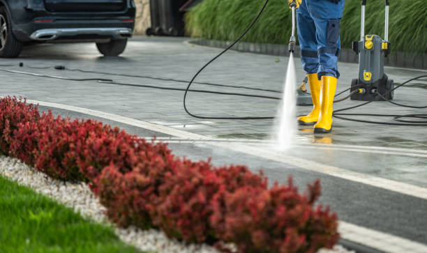Best Fence Cleaning  in Deltana, AK