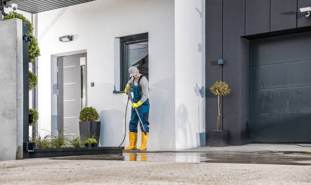 Best Soft Washing  in Deltana, AK